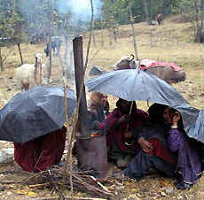 사진기사-우산 지붕 아래